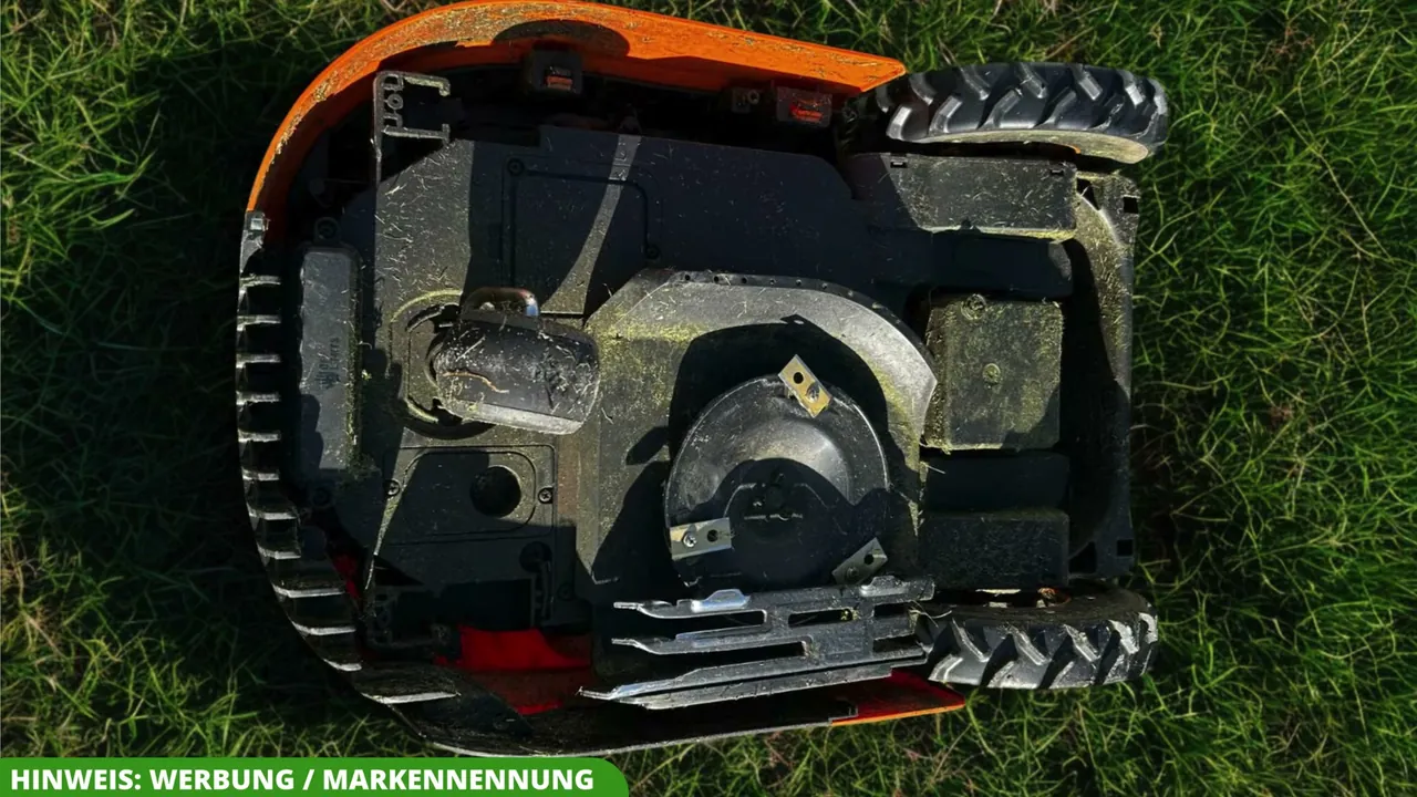 Das versetzte Mähwerk der Cut-to-Edge-Funktion ermöglicht ein randnahes Mähen entlang der Rasenkanten.