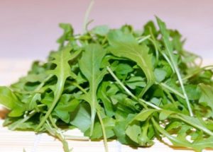 Rucola