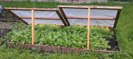 fruehbeet selber gebaut