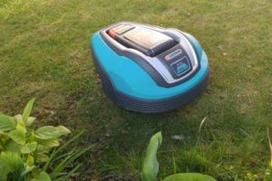Bester Maehroboter Test