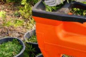 Gartenhaecksler Test