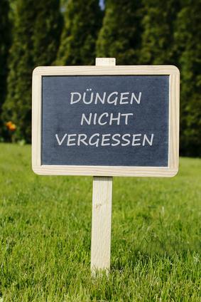 Rasendünger Testsieger und Bestenliste