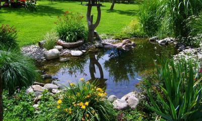 grosser kleiner Gartenteich