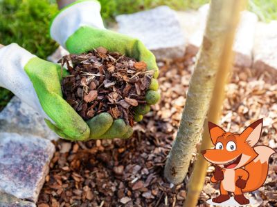 Rindenmulch Alternativen