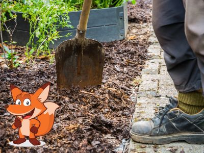 oekologische Rindenmulch Alternativen