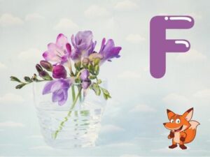 Blume mit F als Anfangsbuchstabe (1)