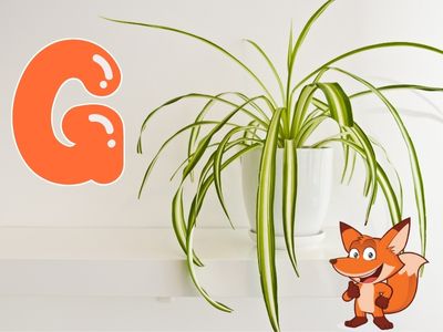 Pflanze mit G am Anfang - garten-fuchs.org