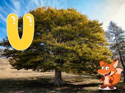 Baum mit U am Anfang