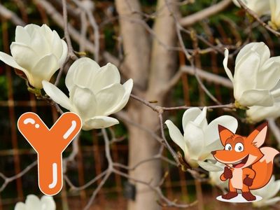 Baum mit Y am Anfang