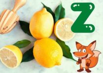 Obst mit Z als Anfangsbuchstabe